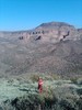 photo thumbnail #6