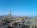 photo thumbnail #9