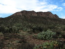 photo thumbnail #13