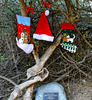 photo thumbnail #8