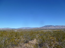 photo thumbnail #6