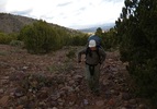 photo thumbnail #1