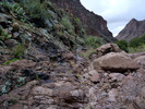 photo thumbnail #5