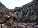 photo thumbnail #6