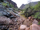 photo thumbnail #15
