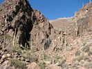 photo thumbnail #8
