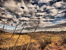 photo thumbnail #11