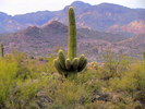 photo thumbnail #8