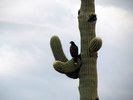 photo thumbnail #11