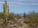 photo thumbnail #4