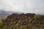 photo thumbnail #15