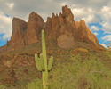 photo thumbnail #7