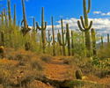 photo thumbnail #8