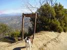 photo thumbnail #6