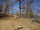 photo thumbnail #13