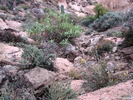 photo thumbnail #14