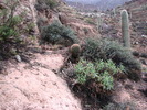 photo thumbnail #15