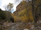 photo thumbnail #1