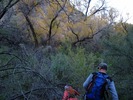 photo thumbnail #1