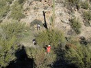 photo thumbnail #3