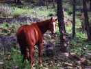 photo thumbnail #4