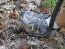 photo thumbnail #2
