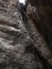 photo thumbnail #15