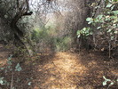 photo thumbnail #10