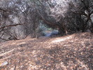 photo thumbnail #11