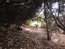 photo thumbnail #12