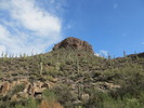 photo thumbnail #13