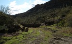 photo thumbnail #2