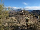photo thumbnail #3