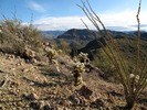 photo thumbnail #4