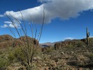 photo thumbnail #5