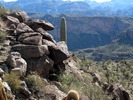 photo thumbnail #7