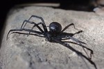 photo thumbnail #9