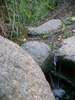 photo thumbnail #13