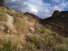 photo thumbnail #14