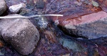 photo thumbnail #8