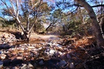photo thumbnail #13