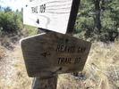 photo thumbnail #10