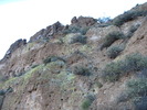 photo thumbnail #10