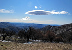 photo thumbnail #11