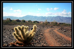 photo thumbnail #1