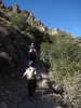 photo thumbnail #3