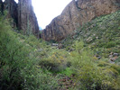 photo thumbnail #6