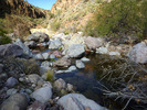photo thumbnail #11