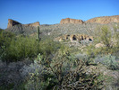 photo thumbnail #15