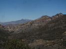 photo thumbnail #4